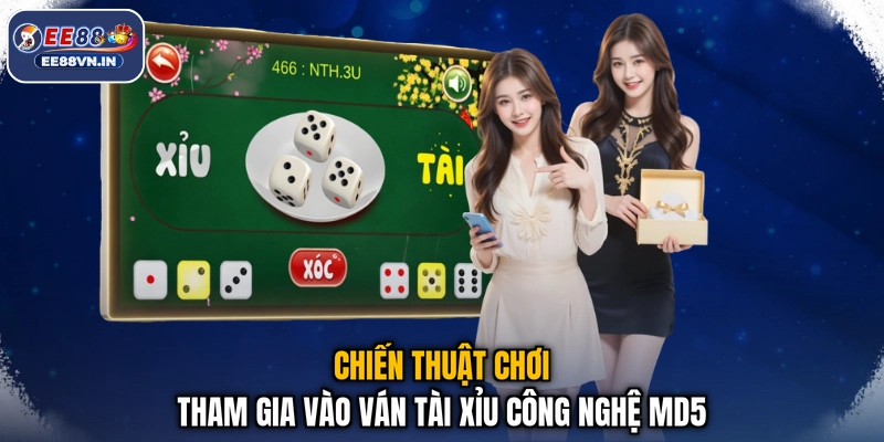 Tài Xỉu MD5 - Xanh Chín Từng Giây, Tiền Về Liền Tay 4 Chiến thuật chơi tham gia vào ván tài xỉu công nghệ MD5